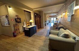 Pensiune ****D + P + 1E + M cu 11 camere, 5000 mp teren, Vama