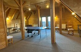 Pensiune ****D + P + 1E + M cu 11 camere, 5000 mp teren, Vama