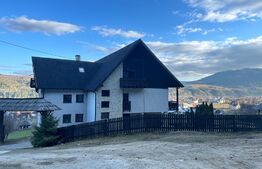 Pensiune ****D + P + 1E + M cu 11 camere, 5000 mp teren, Vama