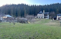 Pensiune ****D + P + 1E + M cu 11 camere, 5000 mp teren, Vama