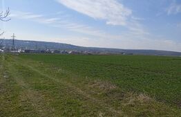 Teren extravilan de 5000 mp in Scheia