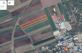 Teren extravilan de 5000 mp in Scheia