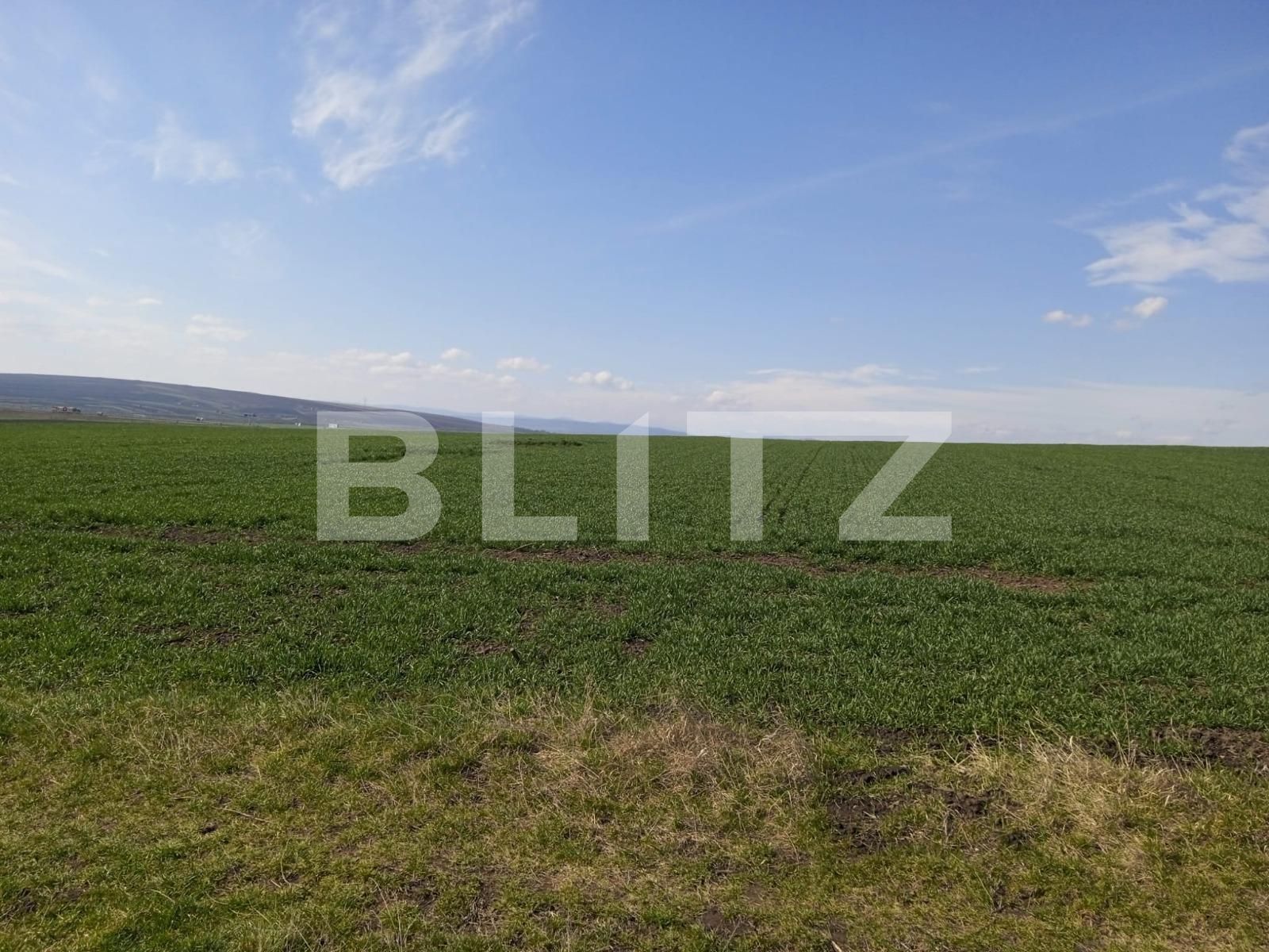 Teren de vânzare Scheia - 112147TV | BLITZ Suceava | Poza3