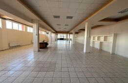 Spatiu comercial stradal, 330 mp, zona cu trafic intens