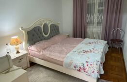 Apartament 2 camere, 50mp, pretabil si pentru spatiu comercial zona Centrala