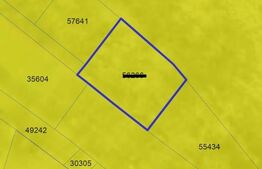 Teren intravilan - 800 mp si cota drum, Burdujeni