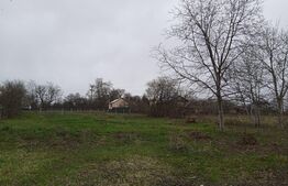 Teren intravilan - 800 mp si cota drum, Burdujeni