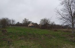 Teren intravilan - 800 mp si cota drum, Burdujeni