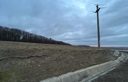 Teren pentru investitie, suprafata de 7000mp, cu acces la E68, Vest