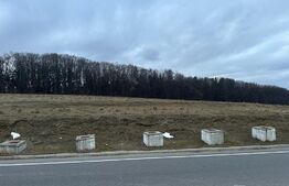 Teren pentru investitie, suprafata de 7000mp, cu acces la E68, Vest