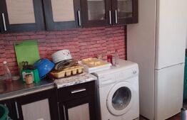 Ocazie! Casă de 120 mp utili, 3600 mp teren, Rîșca - Suceava