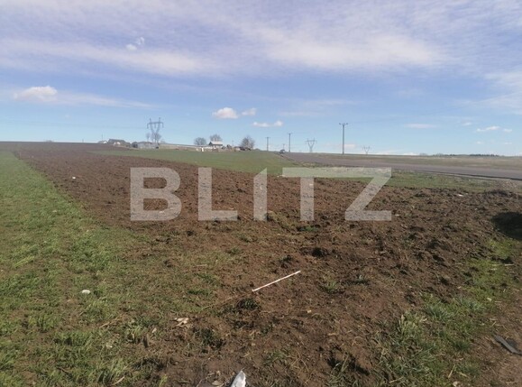 Teren de vânzare Sud - 112606TV | BLITZ Suceava | Poza1