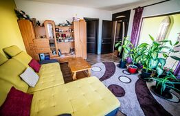 Oportunitate! Casa individuala si afacere la cheie