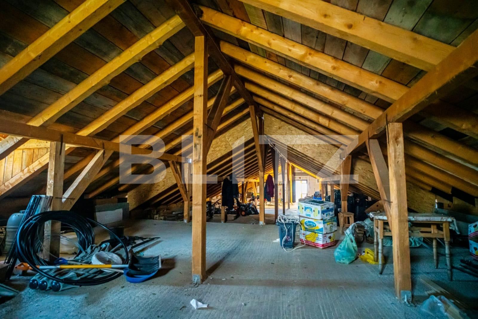 Spațiu comercial de vânzare Exterior Sud - 112717SVC | BLITZ Suceava | Poza18