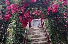 Apartament 3 camere, 71 mp, decomandat, Campulung Moldovenesc