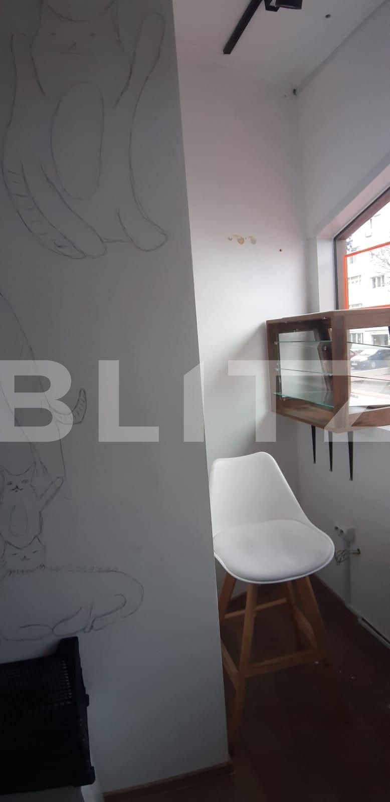 Spațiu comercial de închiriat Obcini - 113733SIC | BLITZ Suceava | Poza5