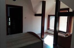 Case de vacanta, 4858 mp teren, Poiana Stampei