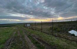 Ocazie! Teren intravilan, 771 mp, front de 32 ml la drum privat, Moara