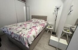 Microapartament modern, 30 mp, zona Catedrala