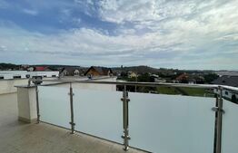 Ocazie! Casă individuală, 3 dormitoare, 375mp, teren plus garaj, zona Burdujeni