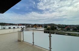 Ocazie! Casă individuală, 3 dormitoare, 375mp, teren plus garaj, zona Burdujeni