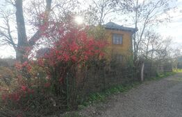 Casa 4 camere, 105mp utili+ 6400mp teren, Ilisesti