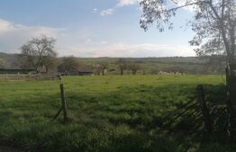 Casa 4 camere, 105mp utili+ 6400mp teren, Ilisesti