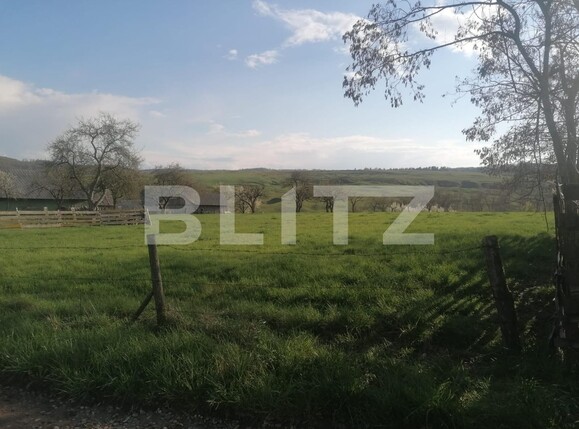 Casa de vânzare 4 camere Exterior Vest - 114451CV | BLITZ Suceava | Poza2