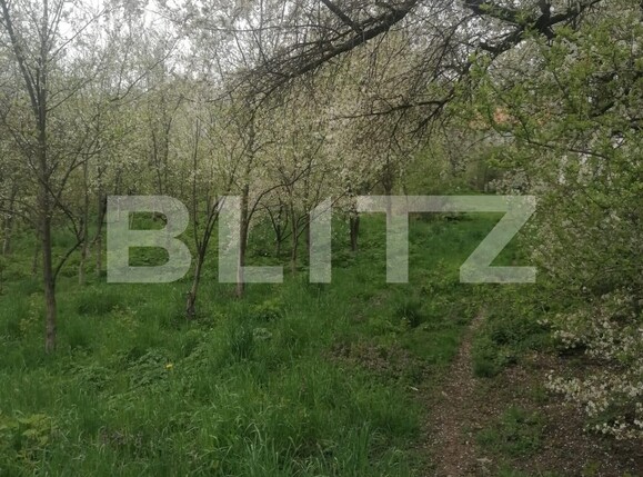 Teren de vânzare Nord - 114580TV | BLITZ Suceava | Poza5