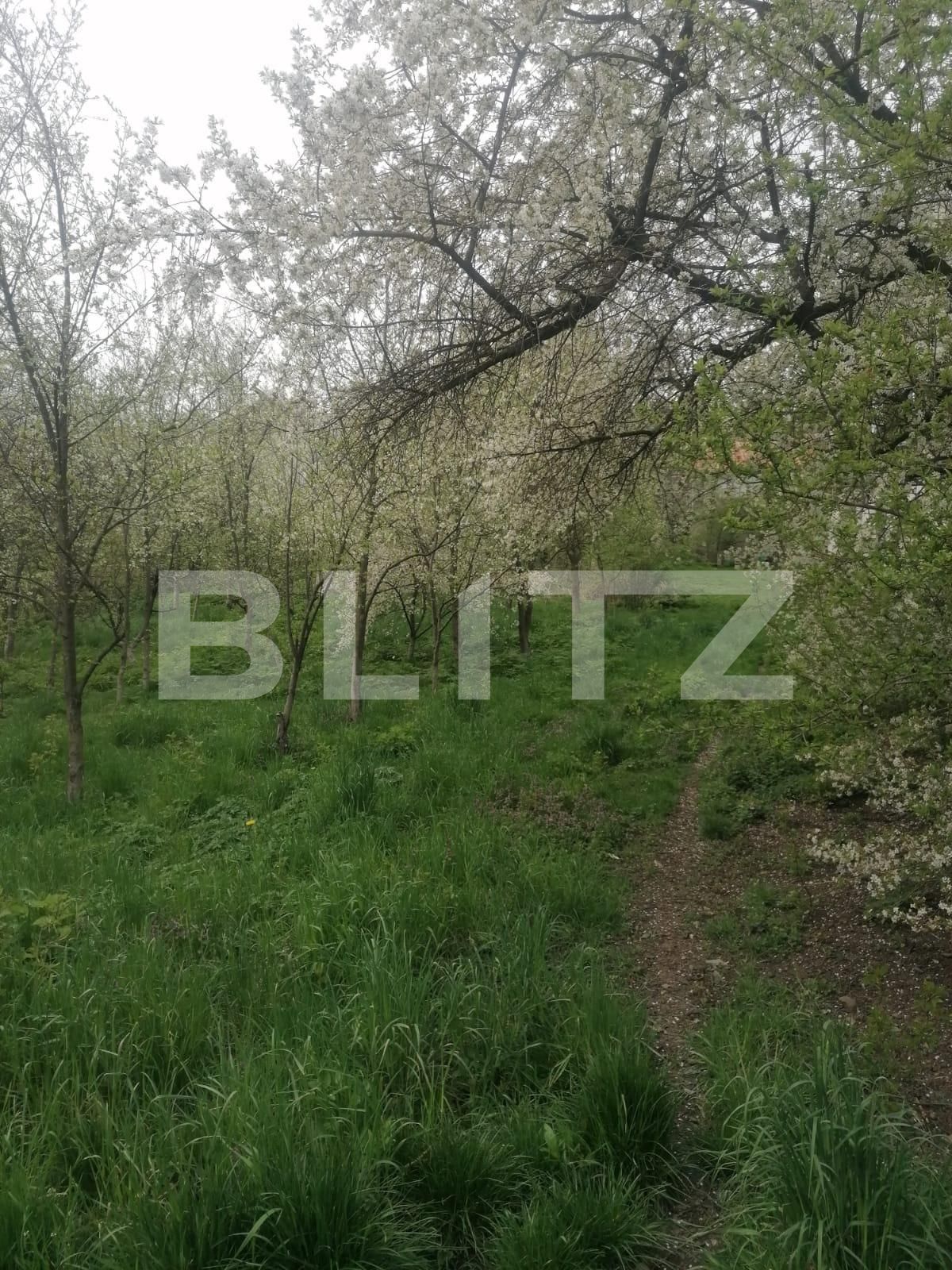 Teren de vânzare Nord - 114580TV | BLITZ Suceava | Poza5