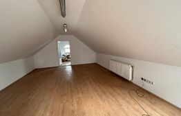 Spatiu comercial cu potential, 300 mp, ideal pentru investitie sau activitati proprii! Ipotesti Suceava 