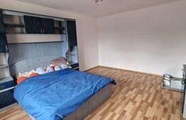 Casa 8 camere, 350mp, Ipotesti
