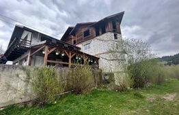 Proprietate cu potential pentru sali evenimente-hotel-restaurant, Frasin