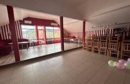 Proprietate cu potential pentru sali evenimente-hotel-restaurant, Frasin