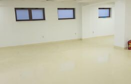 Spatiu comercial, 146 mp, open space, strada principală, zona Catedrală