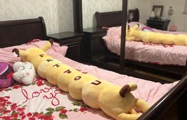 Apartament 2 camere, decomandat, etaj intermediar, zona Belvedere