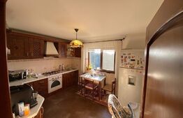 Ocazie! Casă individuală 6 camere, 227 mp utili și teren aferent de 1.000 mp, în zona Șcheia