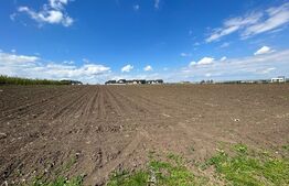 Teren intravilan cu suprafata de 3100mp ,front 18ml ,situat in Ipotesti