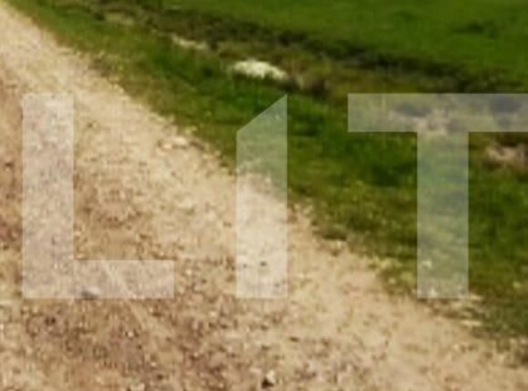 Teren de vânzare Scheia - 115920TV | BLITZ Suceava | Poza1