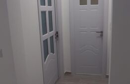 Apartament 2 camere, 50 mp, renovat recent, nou, zona G. Enescu 