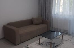 Apartament 2 camere, 50 mp, renovat recent, nou, zona G. Enescu 