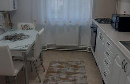Apartament 2 camere, 50 mp, renovat recent, nou, zona G. Enescu 