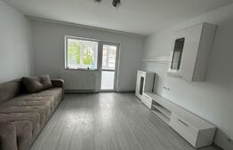 Apartament 2 camere, 50 mp, renovat recent, nou, zona G. Enescu 