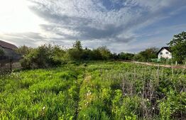 Teren intravilan, 1380 mp, destinat case/duplex Tisauti