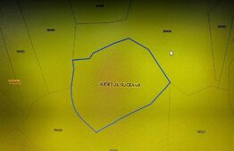Ocazie ! Teren extravilan 10 hectare, pretabil investitie, parcelabil Vama, zona Salatruc