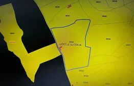 Ocazie ! Teren extravilan 10 hectare, pretabil investitie, parcelabil Vama, zona Salatruc