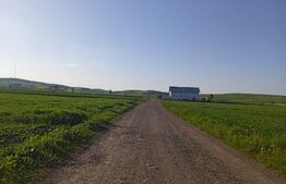 Teren extravilan de 2441 mp, cu front la drumul public de 13 ml, în zona Șcheia (teren vecin cu front de 14 ml BLITZ 117812TV)