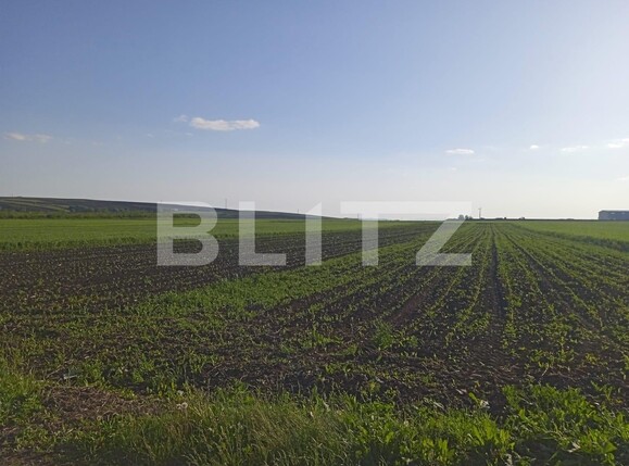 Teren de vânzare Scheia - 116837TV | BLITZ Suceava | Poza3