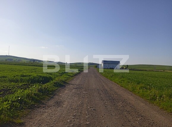 Teren de vânzare Scheia - 116837TV | BLITZ Suceava | Poza4