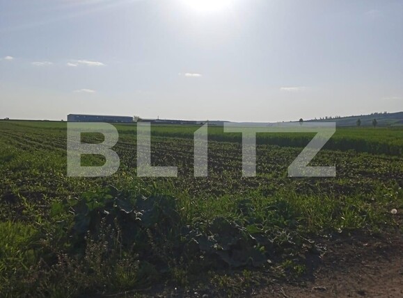 Teren de vânzare Scheia - 116837TV | BLITZ Suceava | Poza2